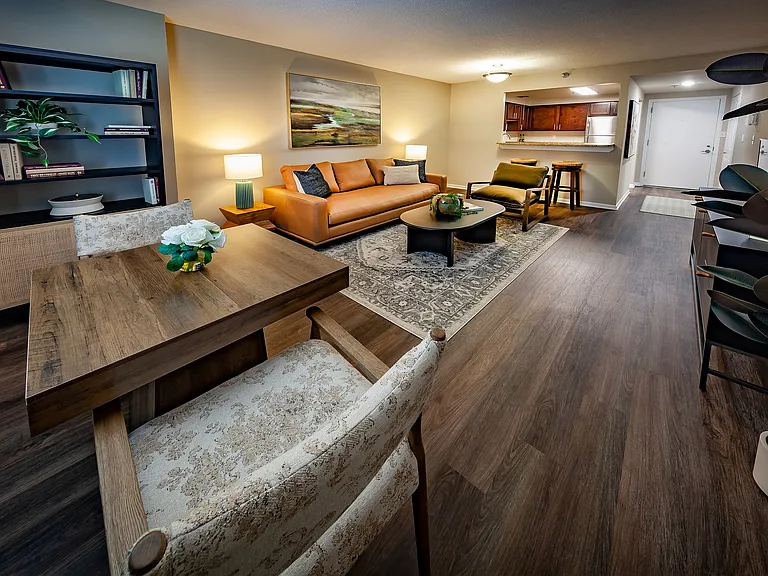 Modern Living Area