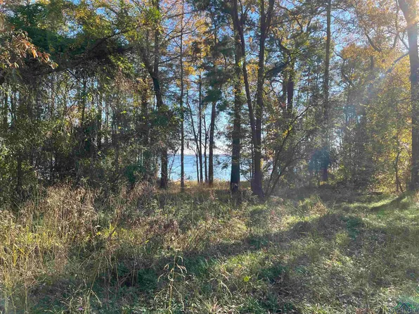 768 Fawn Ln, Avinger, TX 75630