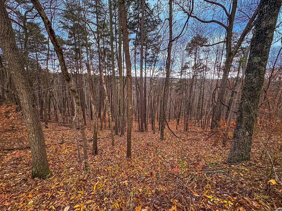 40th image of this home