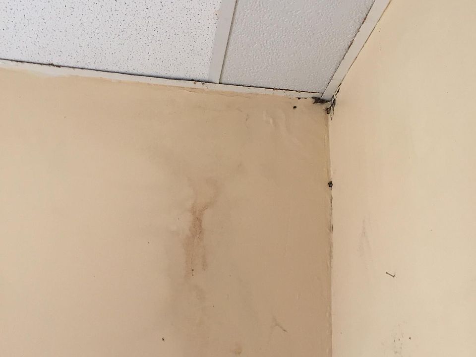 1st image of 46 Landon St #1
