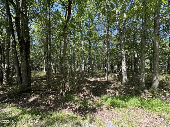 Fvi78 McKuen Way, Albrightsville, PA 18210