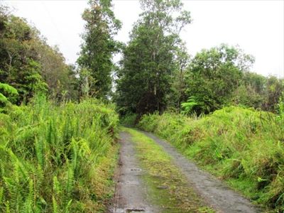 7 Road, Volcano, HI, 96785