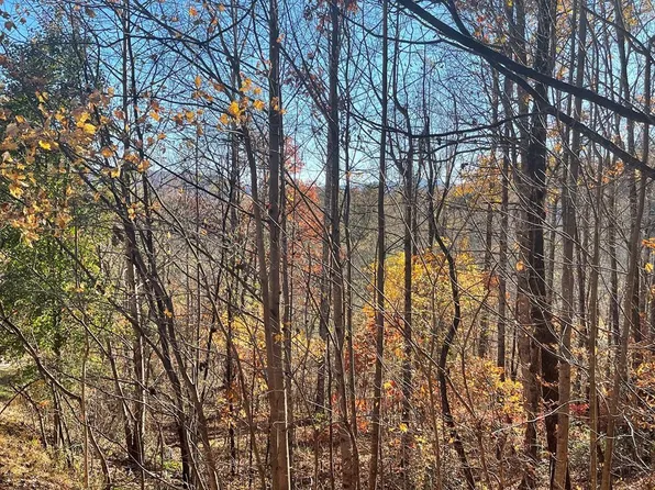 LOT 41-41C Ash Branch Cir, Hayesville, NC 28904