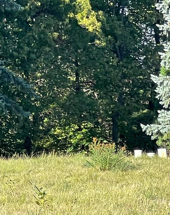2nd image of 516 Clover Ct