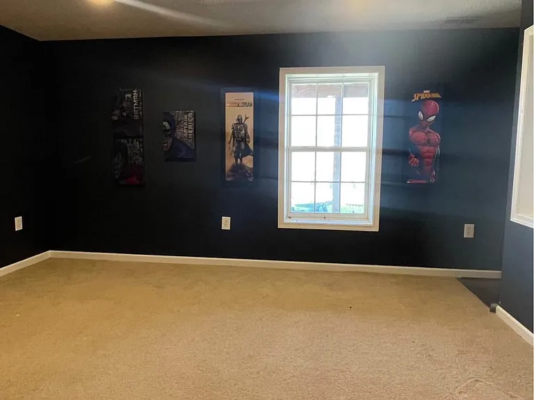17 Banner Spring Cir — Photo 6