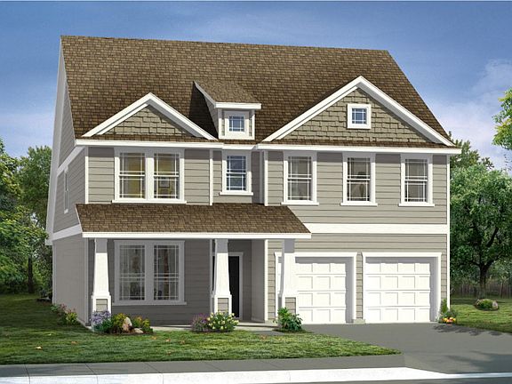 Alder with Elevation P