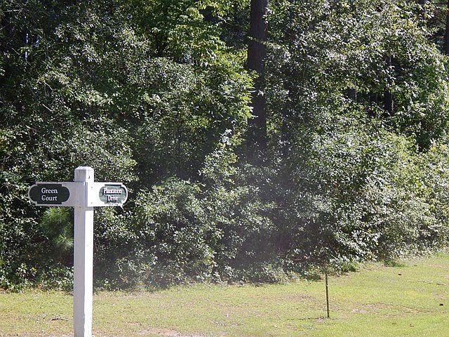 2nd image of LOT 3 Green Ct #4