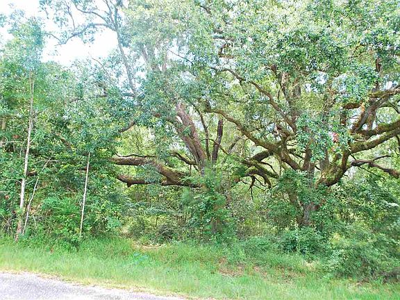 2nd image of 4721 Henry Wilson Creek Dr
