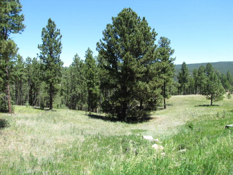 1st image of 19 Garnet Dr