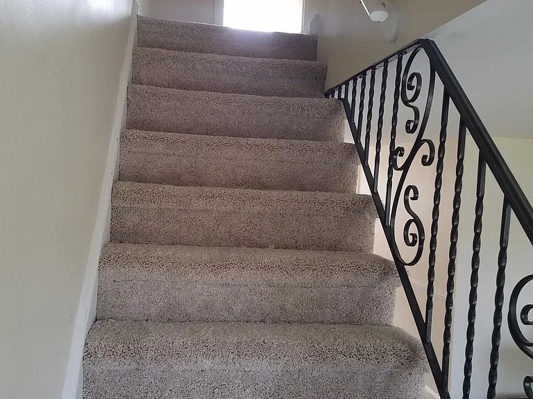 All new carpet
