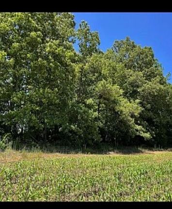 Wooded area on property 