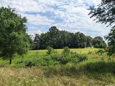 Shelby Rd, Rochelle, VA, 22738