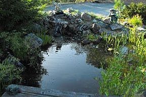 5th image of 3651 Helms Rd