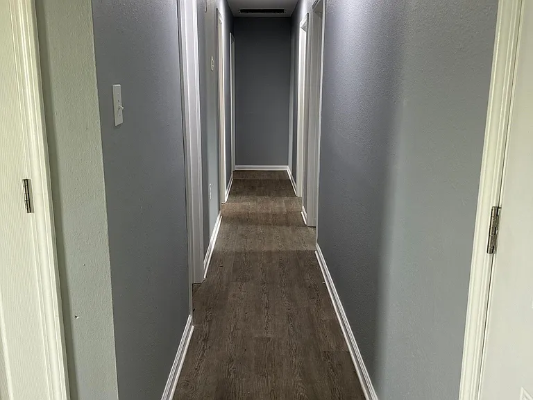 219 Leon St #6 — Photo 10