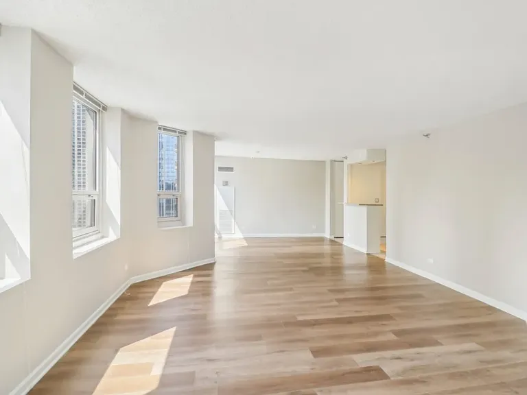 745 N Rush St #3203 — Photo 4