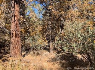 25581 Paramount Dr, Tehachapi, CA 93561