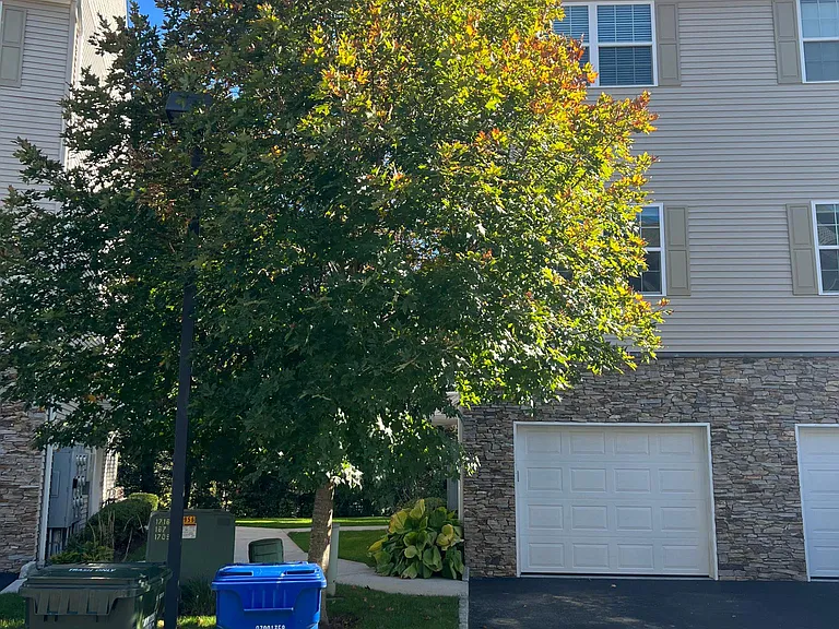 17 Riverview Ct #17 — Photo 19