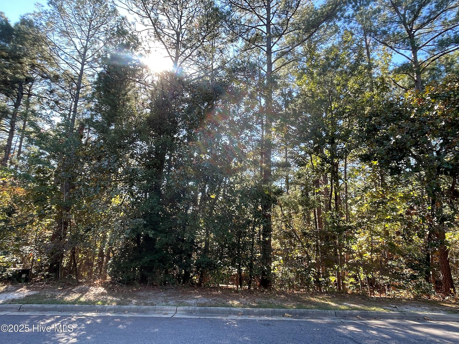 69 Chestertown Dr Lot 1035