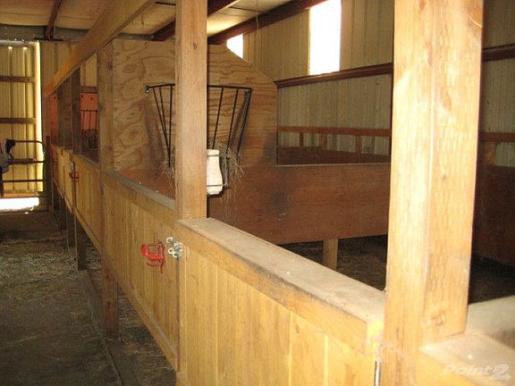 3 Horse stalls
