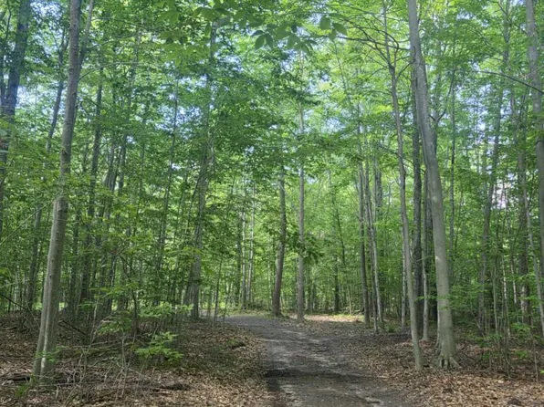 Jones Rd, Glennie, MI 48737