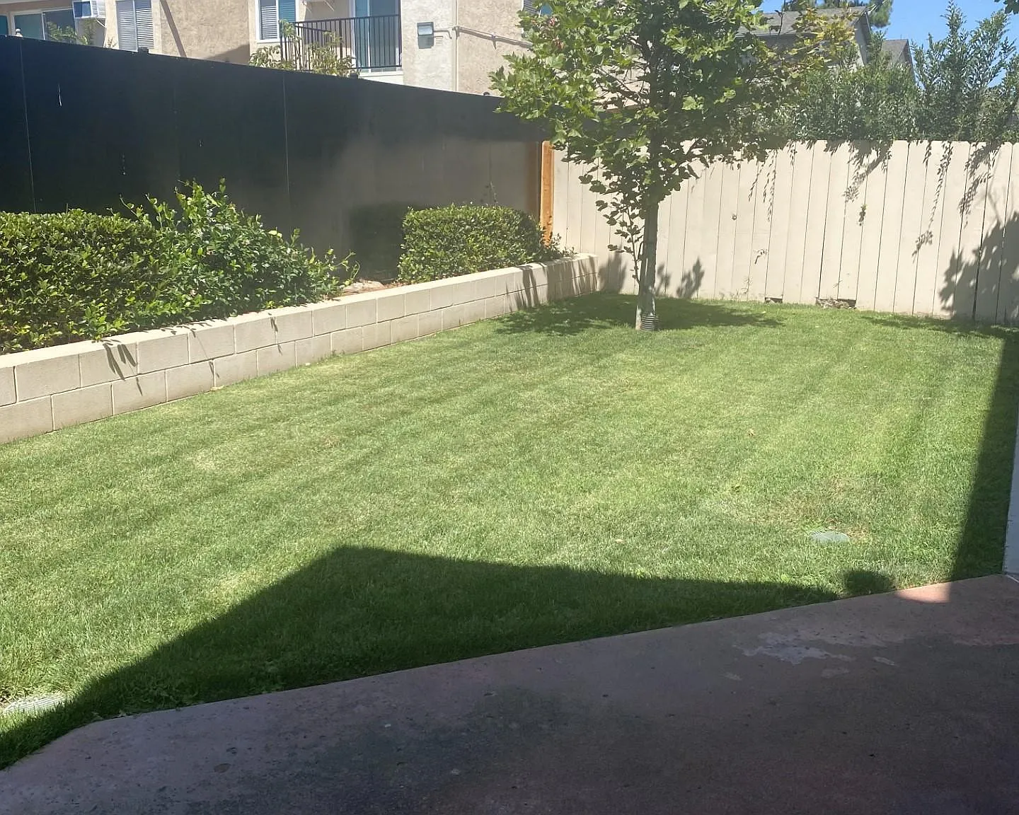1462 Peach Ave — Photo 3