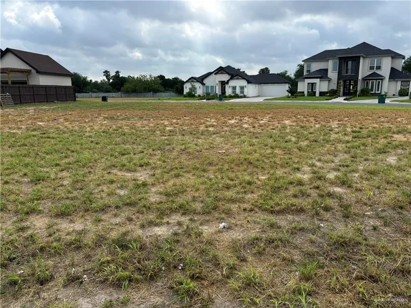 1209 Raptor St, Palmview, TX 78572