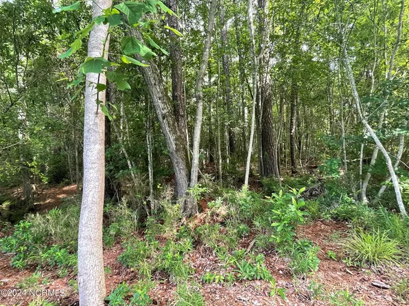 103 Berkshire Court, West End, NC 27376