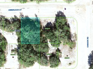 377 Amberjack Ct, Poinciana, FL 34759