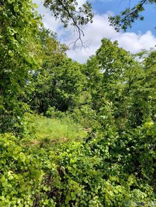 (Undisclosed Address), Glenwood, AR, 71943