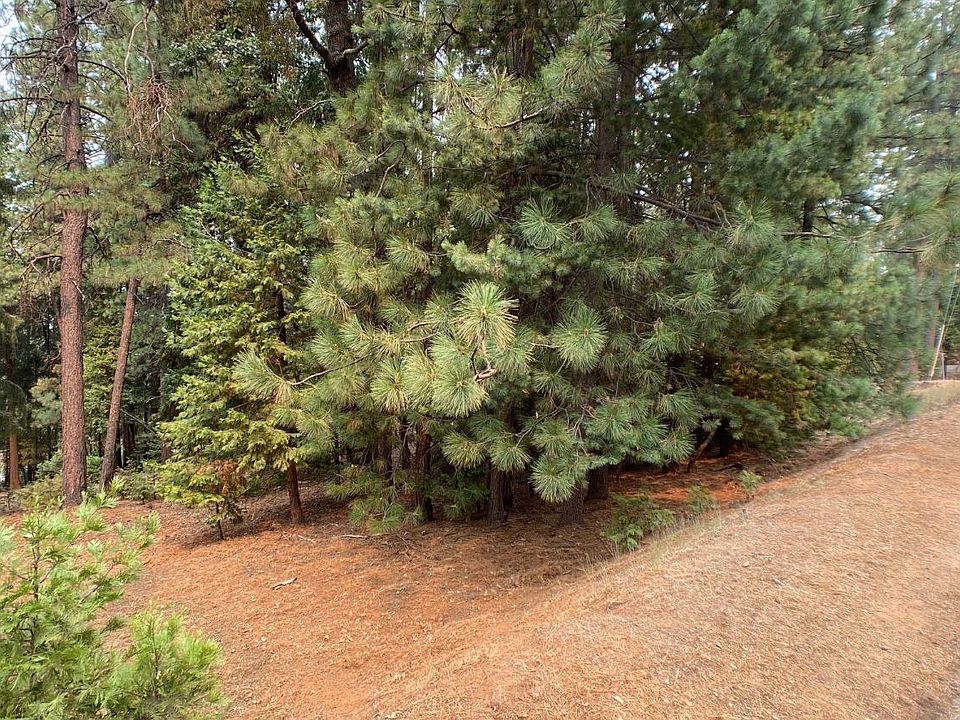 5477 Pine Ridge Dr, Grizzly Flats, CA 95636 | MLS #222142024 | Zillow