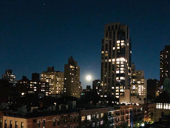 4th image of 350 E 82nd St APT 8F