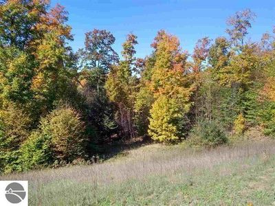 1961 N Blue Water Ct, Suttons Bay, MI, 49682