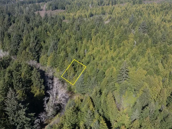 0 Seaward Drive, Taholah, WA 98587