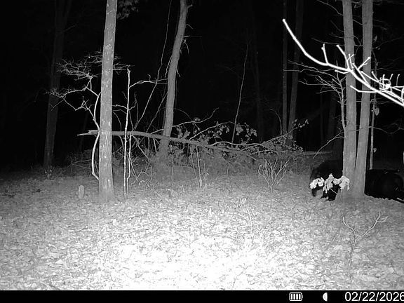 5th image of 0A Meece Mill Rd