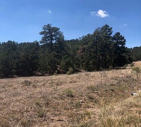 5th image of 68 Puma Ln