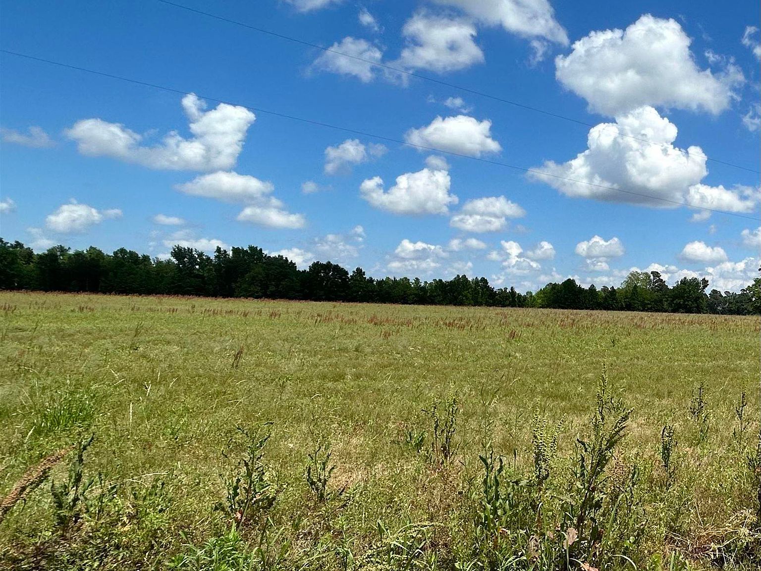 TBD Pleasant View Church Rd., Nichols, SC 29581 | Zillow