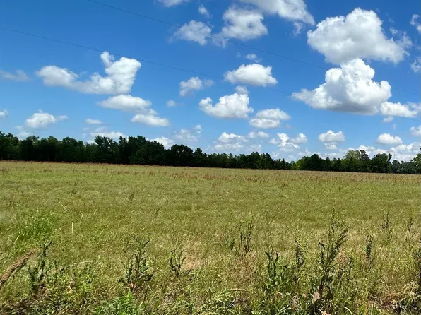 TBD Pleasant View Church Rd., Nichols, SC 29581