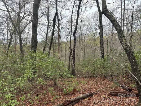 Country Acres Dr, Old Fort, NC 28762