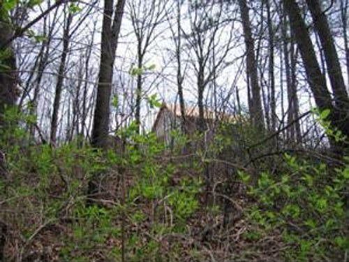 5th image of 2335 Shelter Pointe Dr