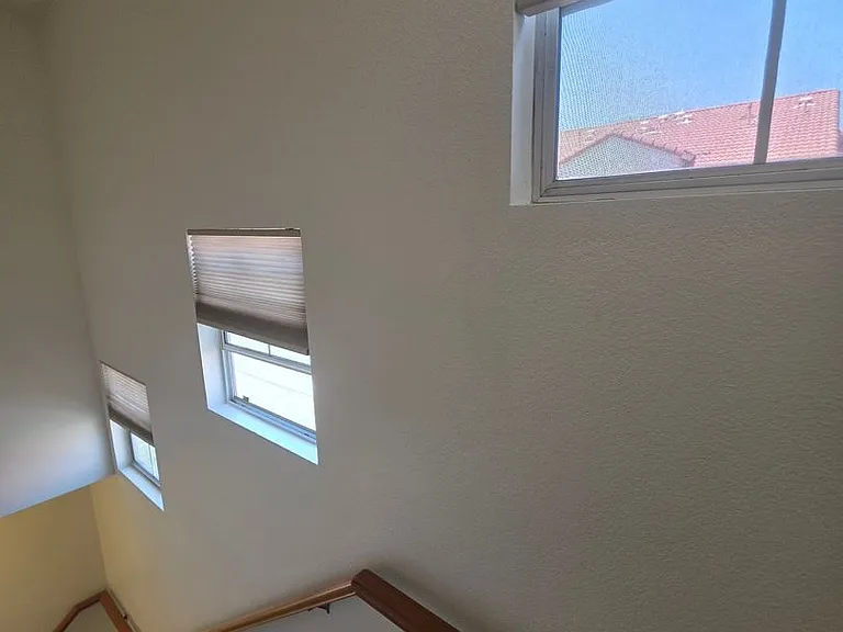 29602 Cara Way — Photo 15