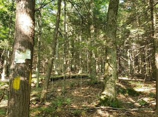 Lum Rd, Worcester, NY 12197