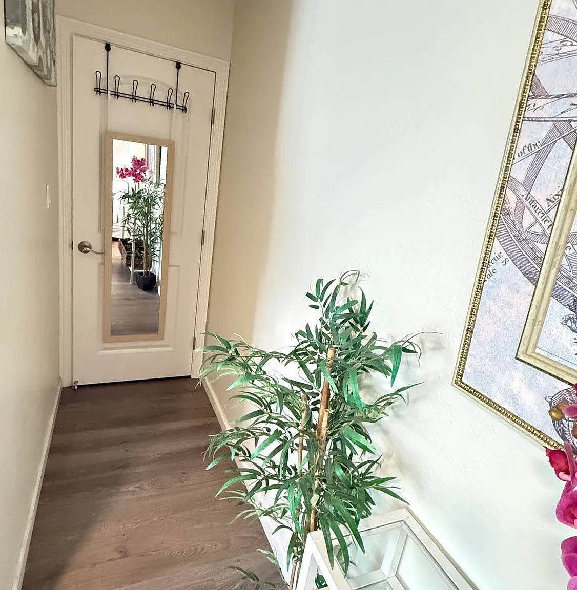 1 bed, 220 sqft, $1,600 — Photo 4