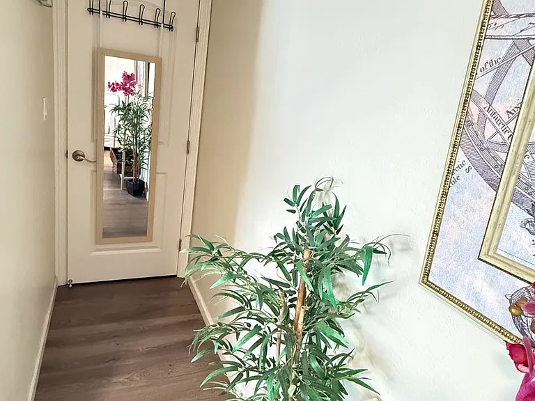 It has a hall way with mirror for your dressing up daily