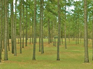 128 Pearl Bonnett Rd, Windsor, SC 29856