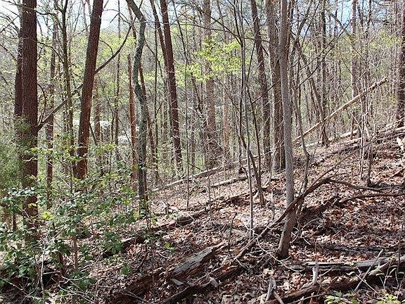 3rd image of 0 McGill Rd Parcel 11.00