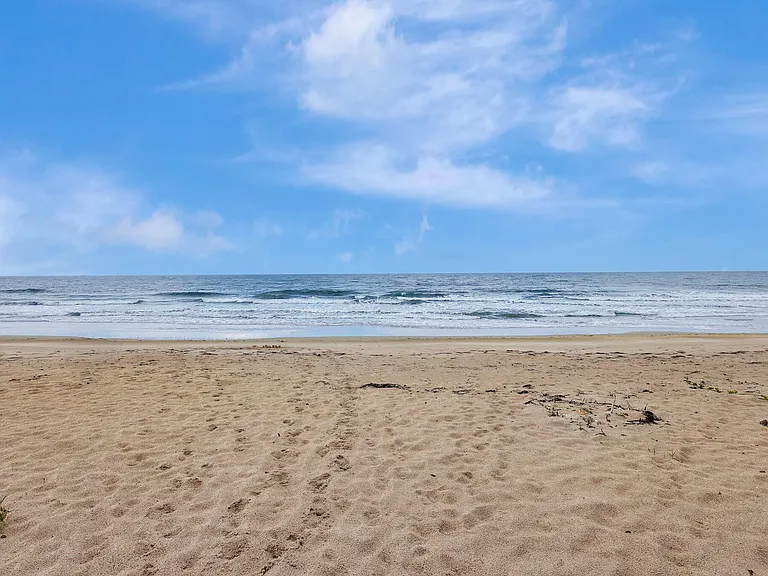 2800 N Highway A1A #305 — Photo 34