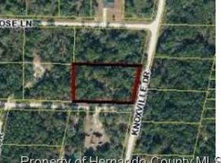 35010 Batesfield St, Webster, FL 33597