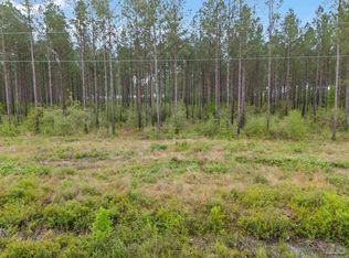 LOT 4 Mineral Springs Rd, Jay, FL 32565
