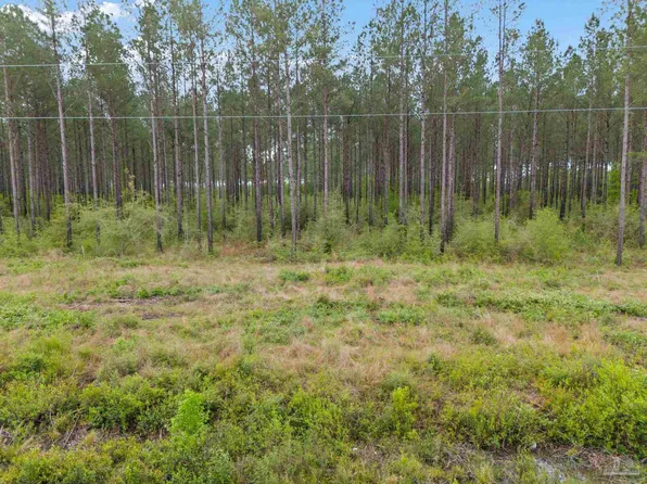LOT 4 Mineral Springs Rd, Jay, FL 32565