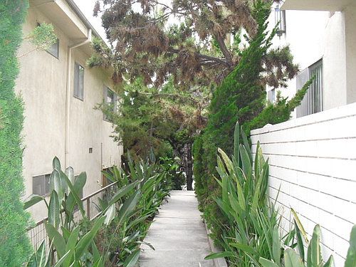 3rd image of 1806 Corinth Ave APT 9